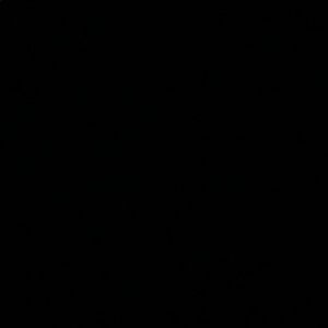 Meet your Posher, Penelope